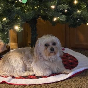 Meet your Posher, Ethan